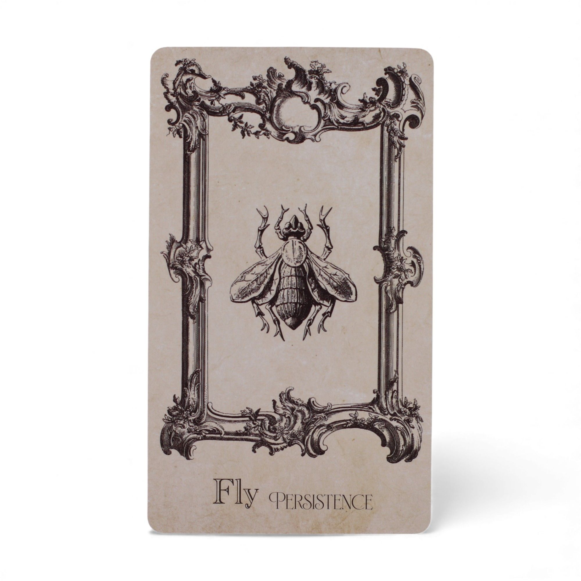 Las cartas oráculo del libro de hechizos - mazo de brujería - Imagen 4