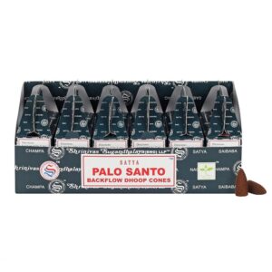 Caja de conos Dhoop Satya de Palo Santo con diseño elegante